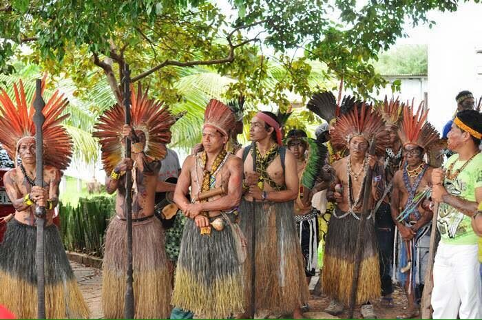 Toadas Celebram a Presença Indígena na Música da Amazônia