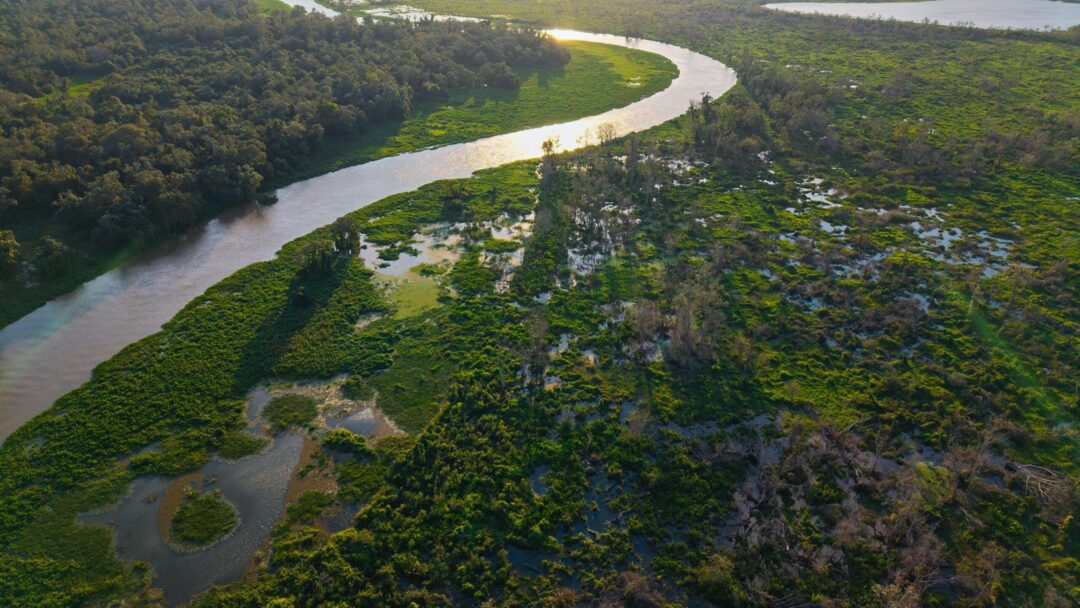Pará e Mato Grosso podem contar com Região Integrada de Desenvolvimento