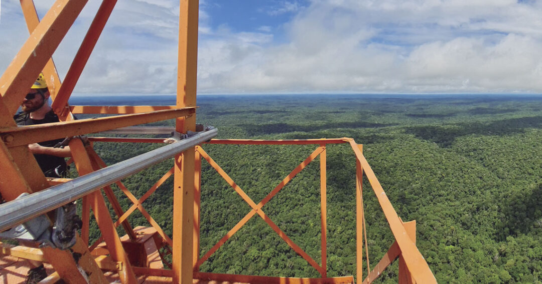 Estudo revela que nevoeiros da Amazônia abrigam microrganismos vivos