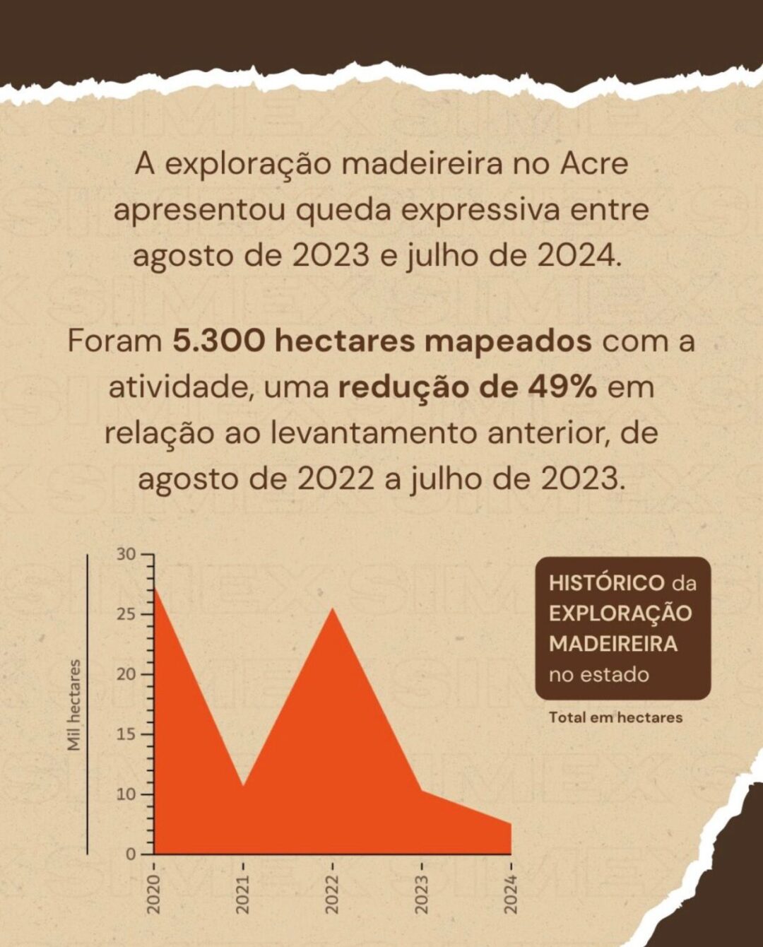 Acre reduz exploração madeireira em 49% entre 2023 e 2024, aponta Simex
