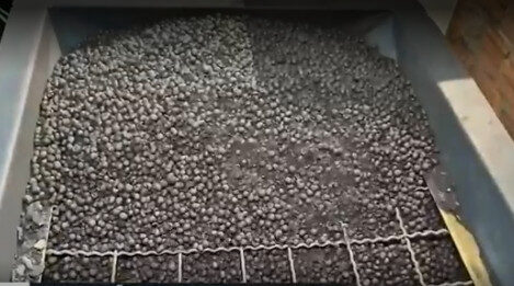 Empreendedor do Amapá transforma caroço de açaí em carvão sustentável