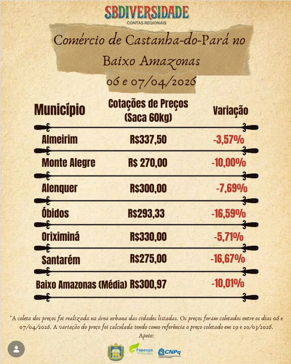Queda nos preços da castanha-do-pará no Baixo Amazonas em abril
