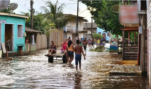 Leptospirose: Risco das Enchentes para a Saúde no Amazonas