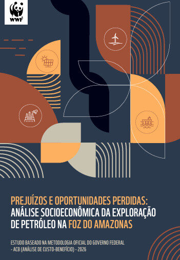 Exploração de petróleo na Foz do Amazonas pode custar R$ 47 bi a mais que energia renovável