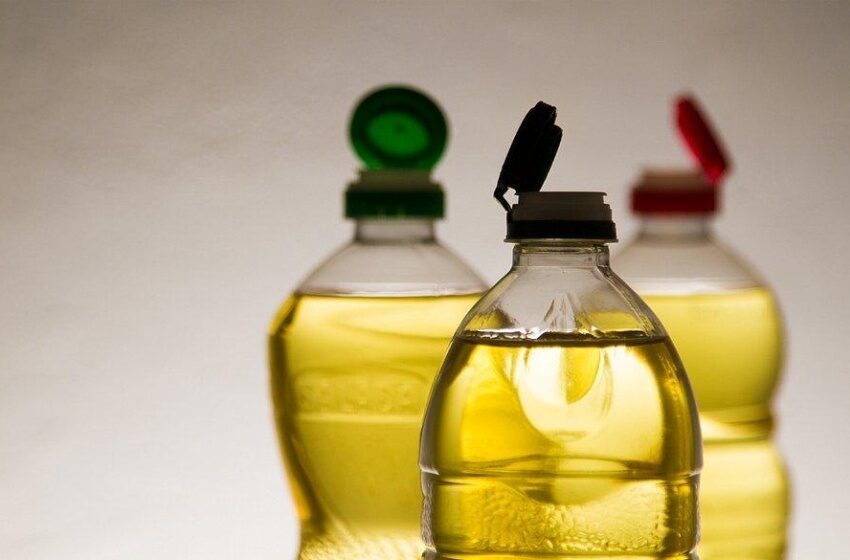 Estudantes do Amazonas Exploraram Biocombustíveis como Energia Sustentável