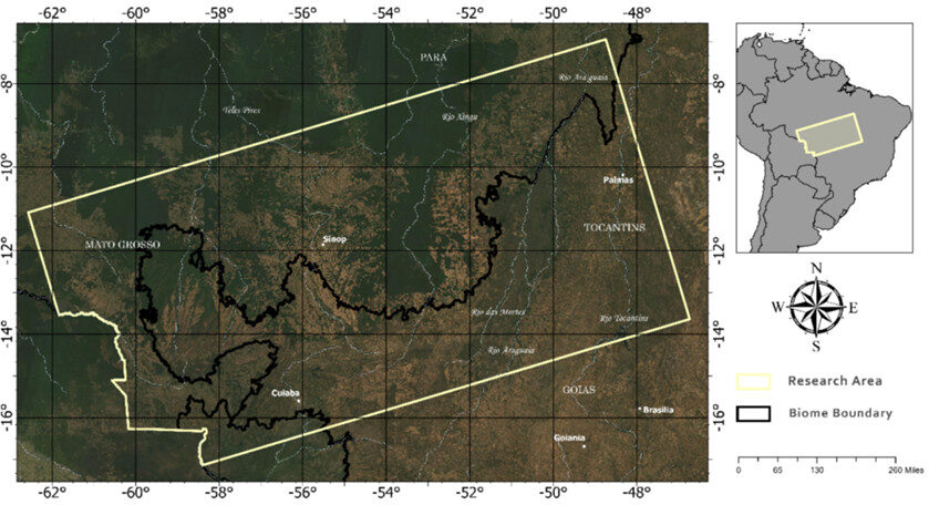 Estudo revela devastação alarmante na Amazônia-Cerrado com IA