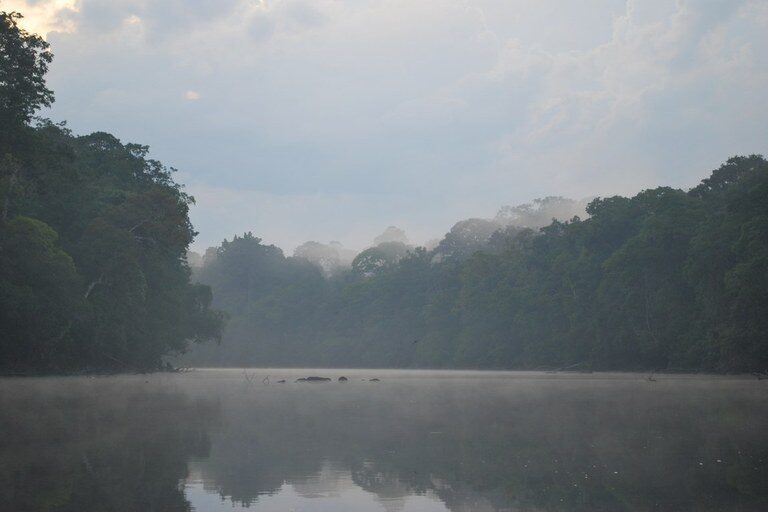 MPF solicita bloqueio de mineração na Floresta Nacional do Amapá