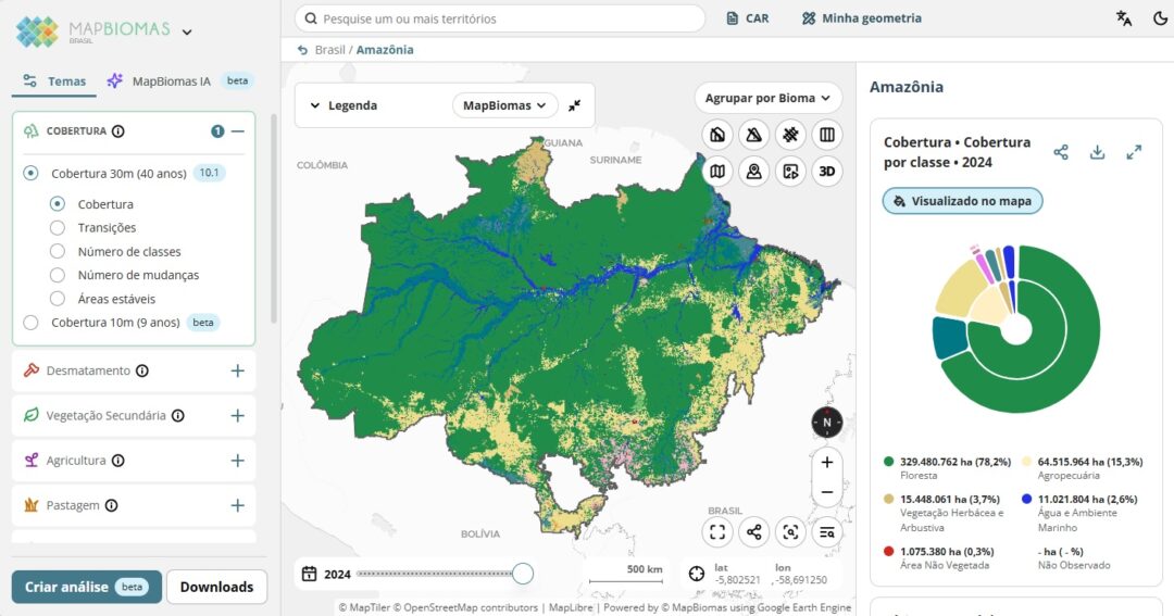 Estudo revela aumento de 163% na fragmentação da vegetação nativa no Brasil
