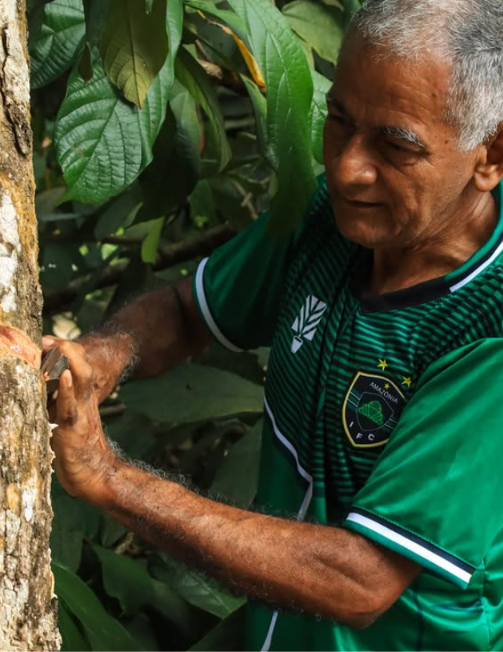 Amazônia Independente FC Lança Camisa em Homenagem à Tradição Seringueira