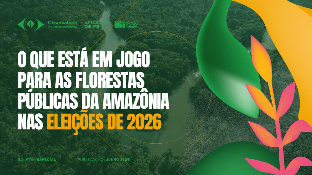 Eleições de 2026 podem afetar proteção das florestas públicas da Amazônia