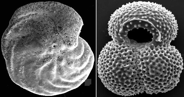 Mudanças bruscas na AMOC podem impactar clima global, revela estudo