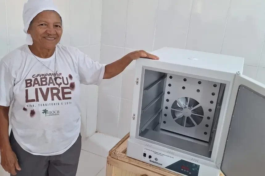 Estufas promovem valorização do coco babaçu em São Domingos do Araguaia