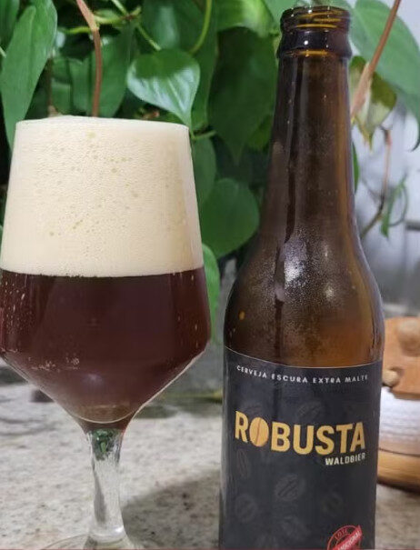 Cerveja com café Robusta Amazônico é a nova aposta de empreendedor em RO