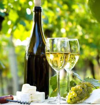 Dicas de vinhos para refrescar o verão amazônico com sabor