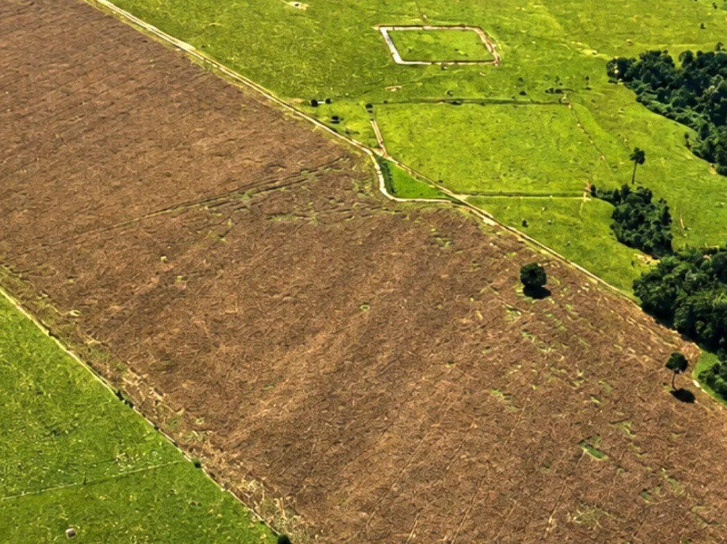Quase 400 novos geoglifos são descobertos na Amazônia por cientistas do Acre
