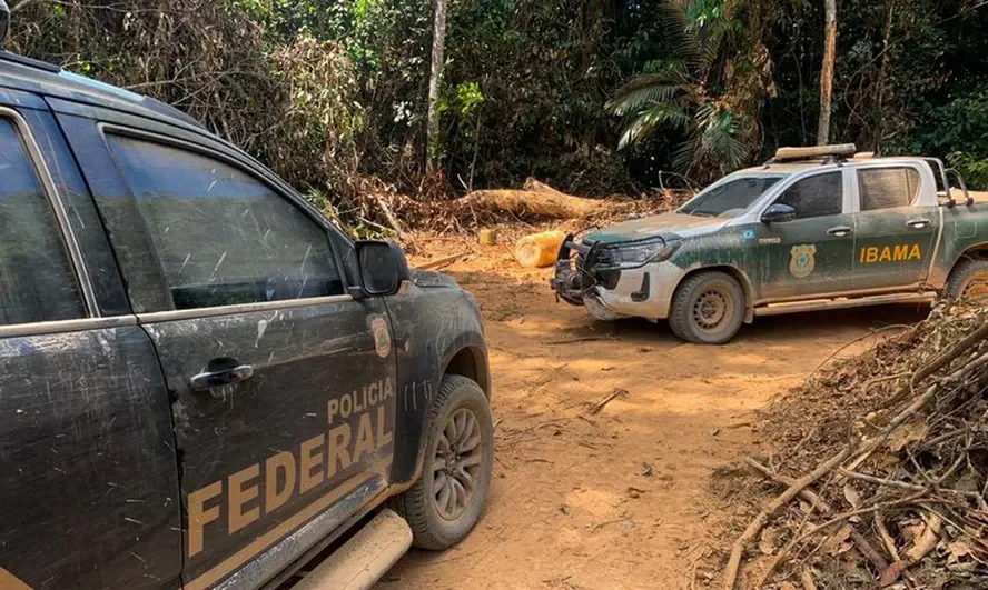 Mudanças climáticas e crime organizado na Amazônia exigem cooperação regional
