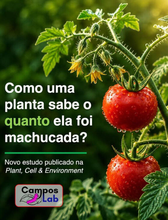 Estudo de Mato Grosso revela estratégias de defesa das plantas