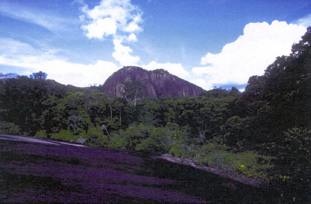 Descubra os Patrimônios Mundiais do Suriname na Amazônia