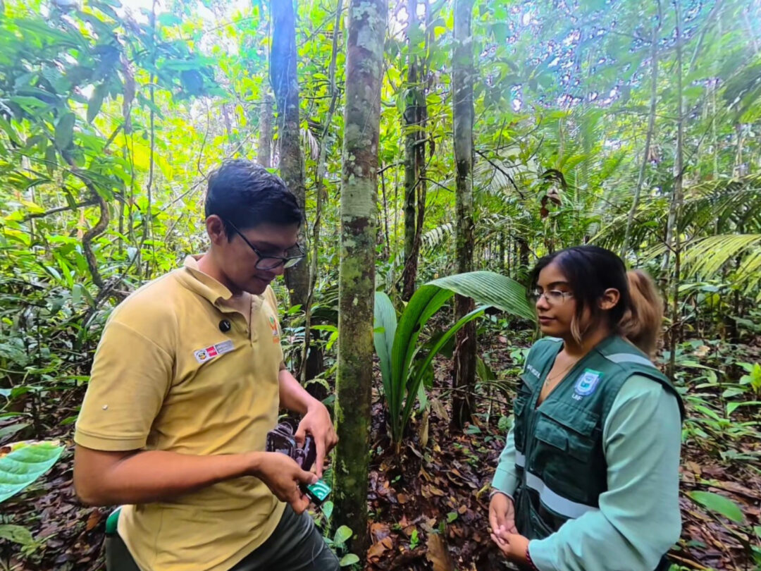IIAP Lança Experiência Imersiva sobre Pesquisa Científica na Amazônia Peruana