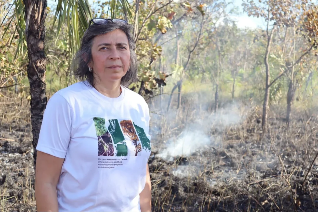 Ane Alencar: Incêndios florestais no Brasil são causados por humanos