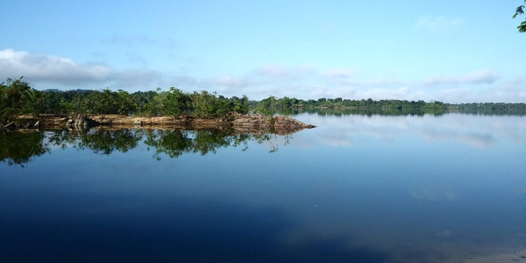 APA Triunfo do Xingu continua a ser pressionada pelo desmatamento em 2026