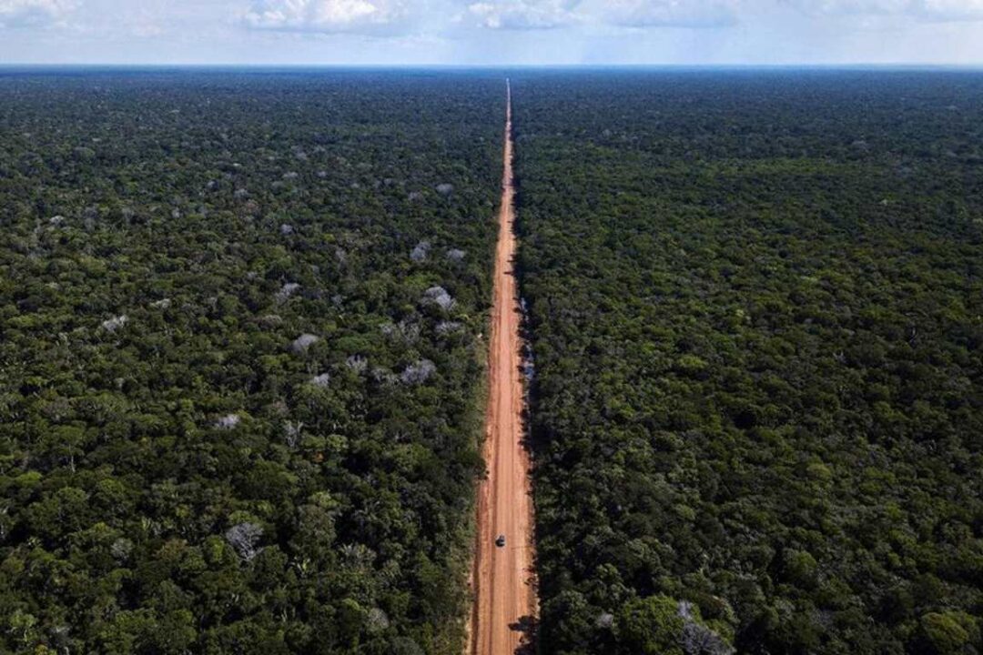 Debate sobre preservação ambiental na BR-319 é destaque em programa do Amazon Sat