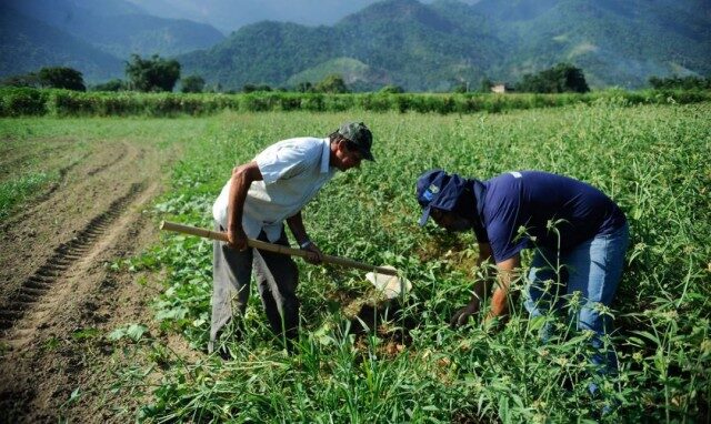 Super El Niño: Coalizão Brasil propõe medidas para proteger a agricultura