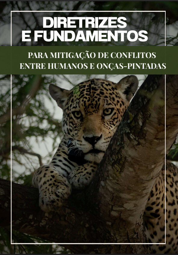 Ufam elabora diretrizes para manejo de conflitos com onças-pintadas