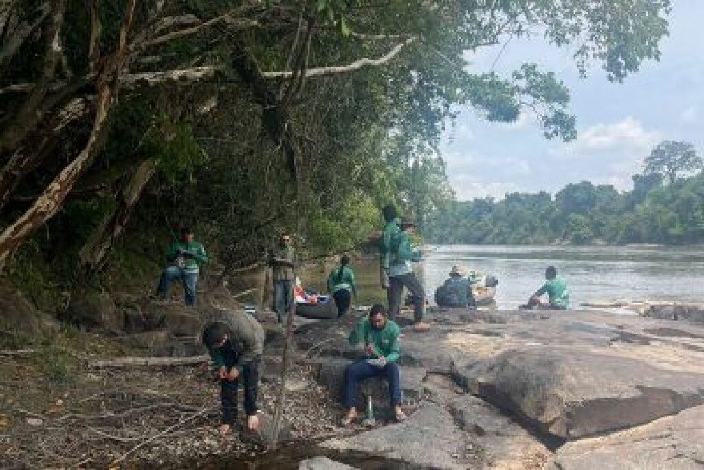 Imazon e UFOPA firmam parceria para monitoramento da biodiversidade no Pará
