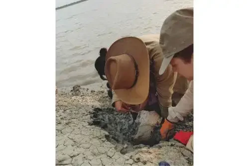 Descoberta de fóssil de peixe-boi com 13 milhões de anos no Peru