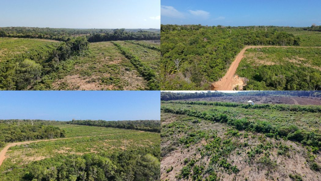 Funai confirma sobreposição do Projeto Potássio do Brasil à Terra Indígena Mura em Autazes