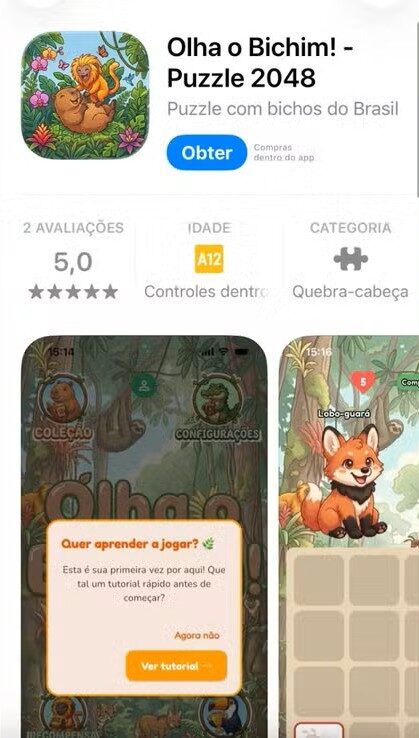 Casal do Acre lança jogo educativo inspirado na fauna brasileira