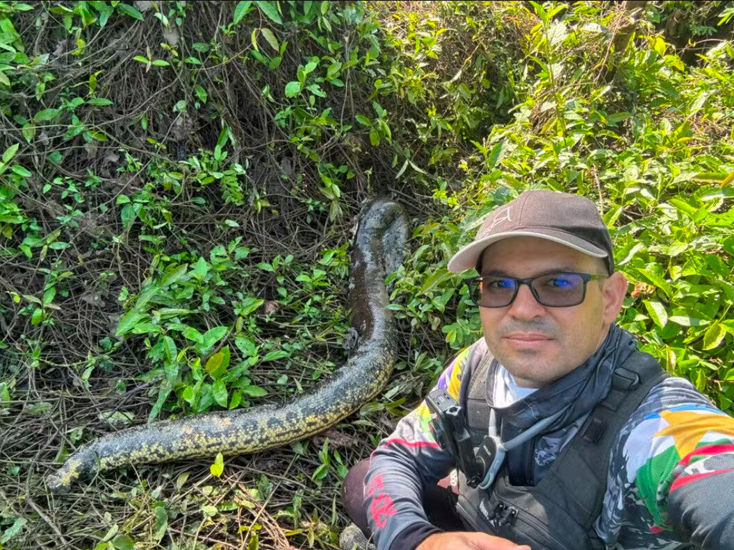 Pescador encontra sucuri de 3 metros morta com sinais de predador em Roraima