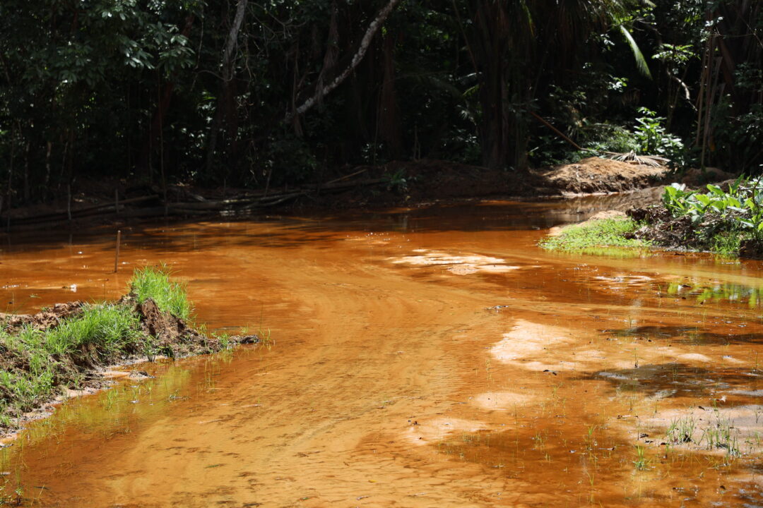 Pesquisadores da UFMA colaboram na recuperação do Rio Santa Bárbara