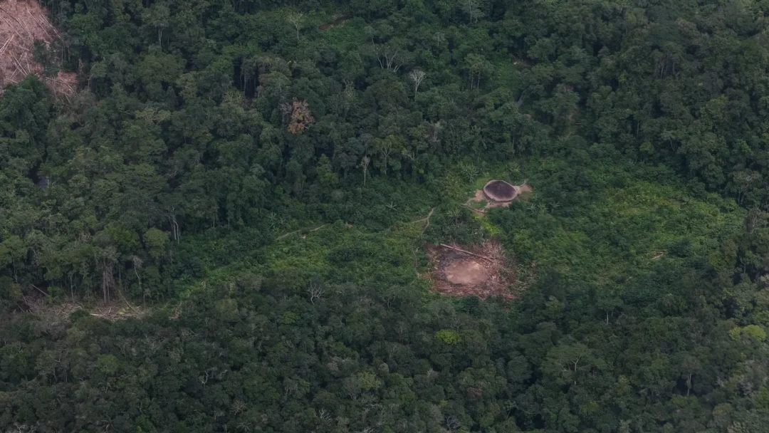 Desmatamento no Amazonas cai 31%, mas estado ainda lidera devastação na Amazônia