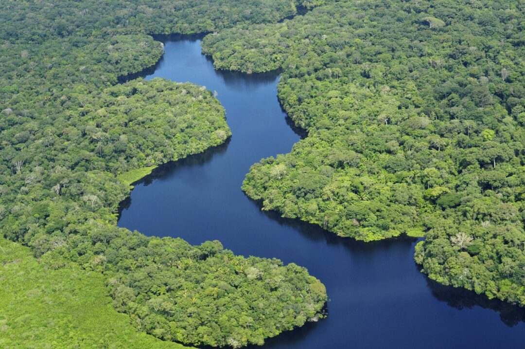 Desafios logísticos e financeiros para negócios amazônicos em destaque