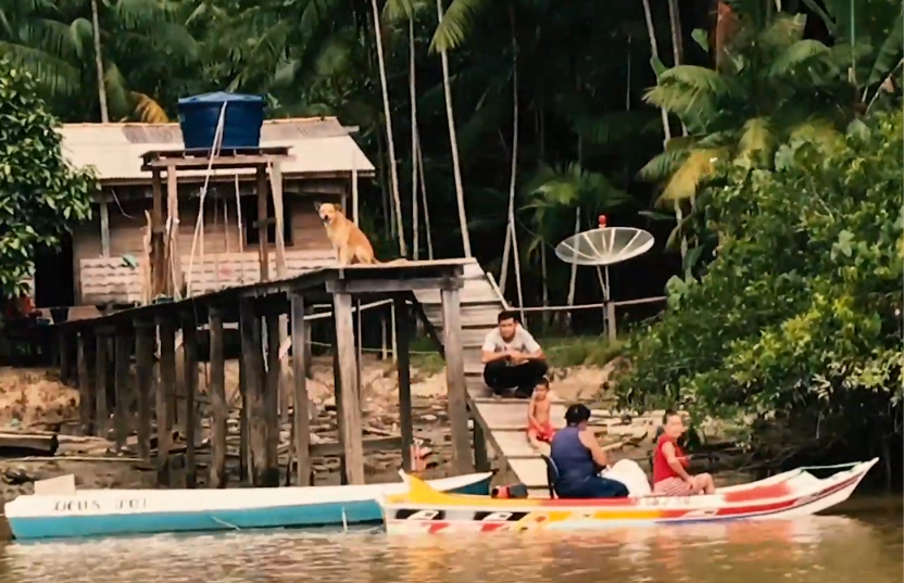 Amazônia: A Força da Gente que Vive na Floresta