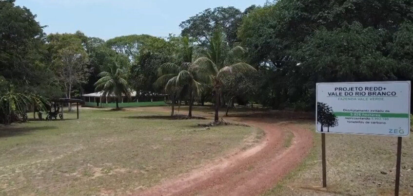 Iniciativa de Créditos de Carbono Protege Florestas e Animais na Amazônia