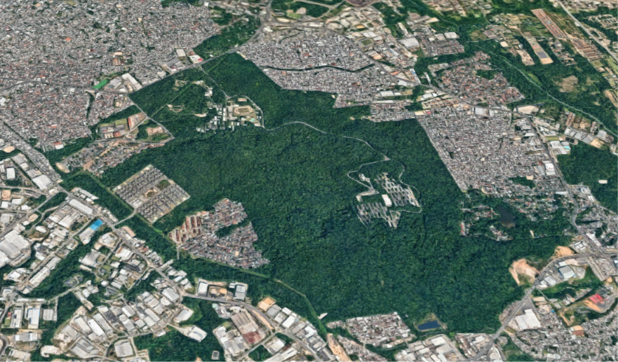 Ufam possui 700 hectares de floresta amazônica no coração de Manaus