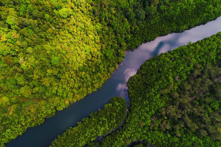 Novas Reservas Sustentáveis e Investimentos no Amazonas são Anunciados
