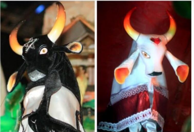 Reviva a Magia do Festival de Parintins: Três Formas de Celebrar