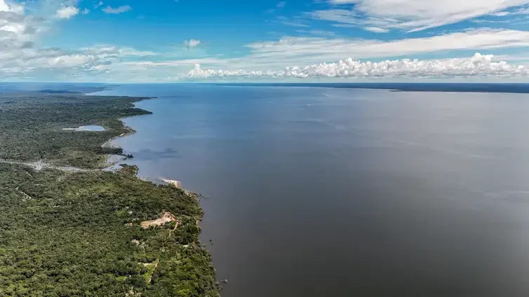 Amazônia abriga mais de 2,7 mil espécies de peixes, revela estudo