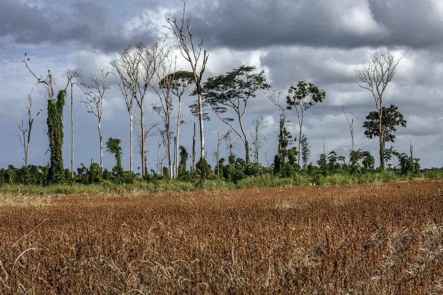 Como o El Niño provoca seca no Norte e chuvas intensas no Sul do Brasil