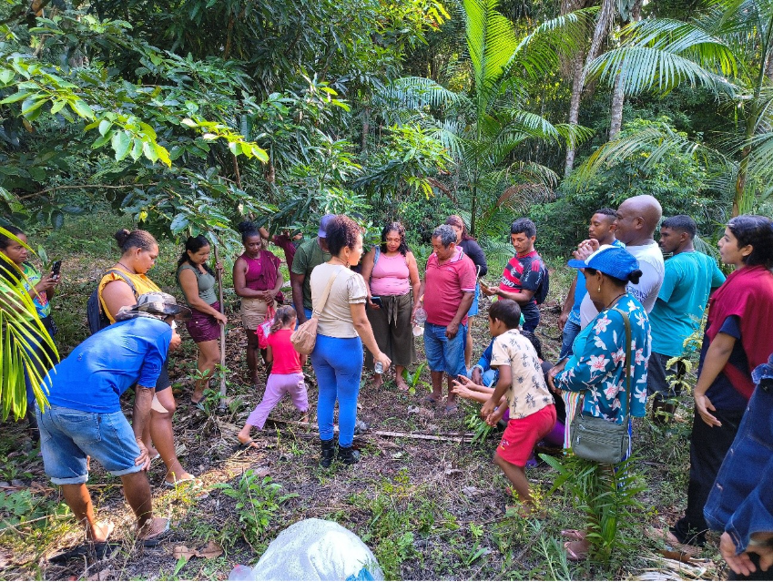 Oficina em Oriximiná ensina práticas agroflorestais para comunidades quilombolas