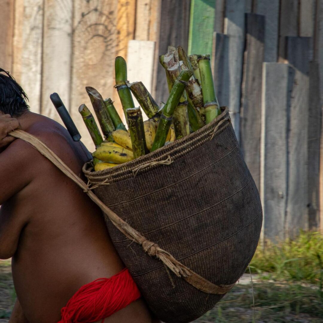 Estudos apontam chuvas abaixo da média e aumento de incêndios em Roraima até 2027