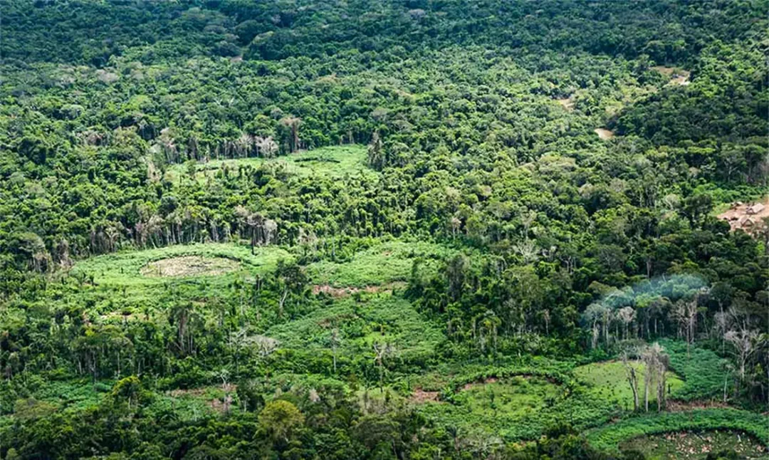 Indígenas no Centro da Restauração das Terras Amazônicas: Especialistas Falam