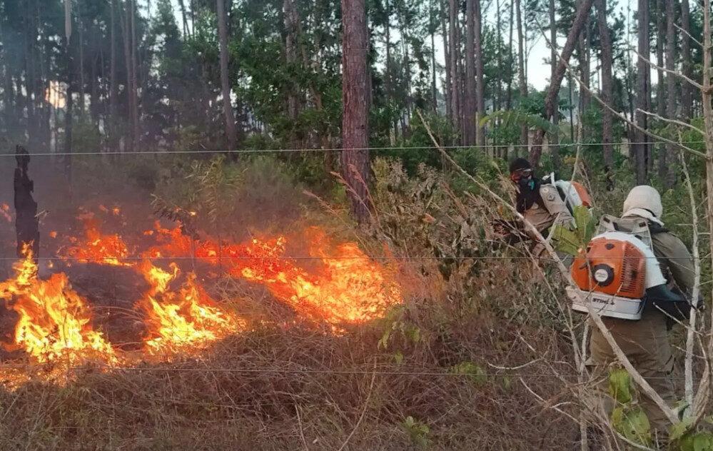 Ibama registra 124 incêndios no Amapá e alerta para seca prolongada