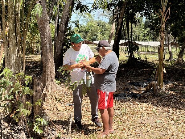 Iniciativa visa restaurar 200 hectares de florestas no sudeste do Pará