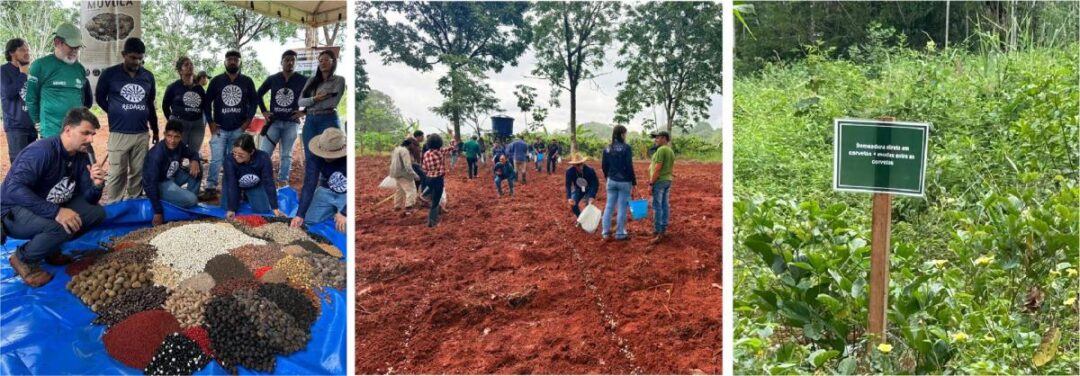 Unidade de Restauração com Muvuca de Sementes é Inaugurada em Altamira