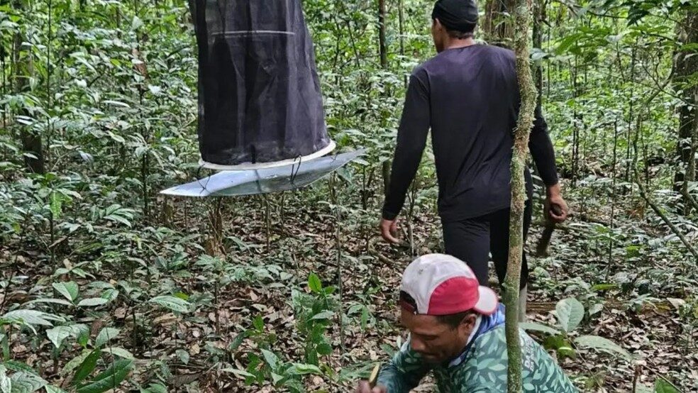 Biólogos e moradores se unem para mapear fauna na Reserva do Rio Iratapuru
